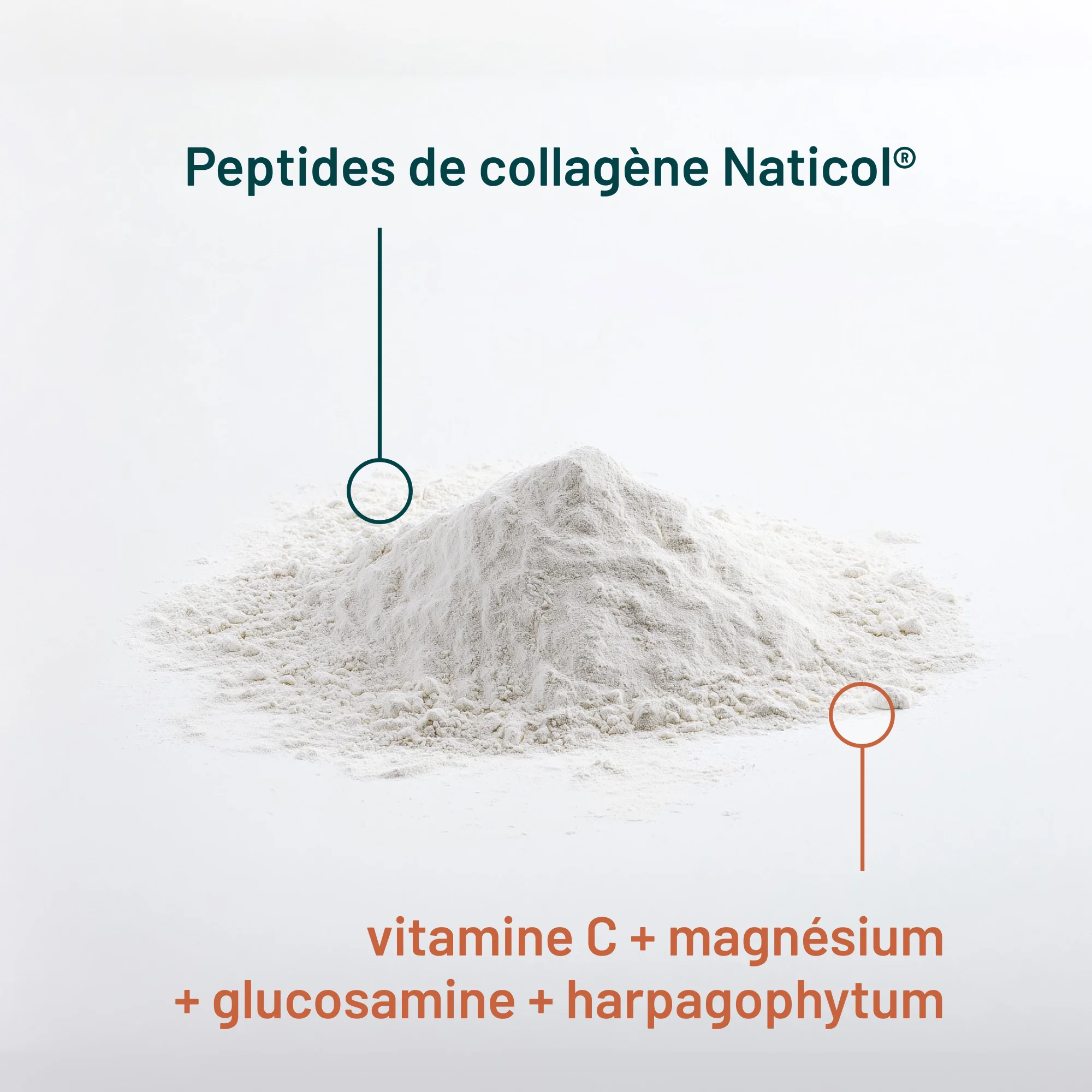 Collagène Marin Articulations