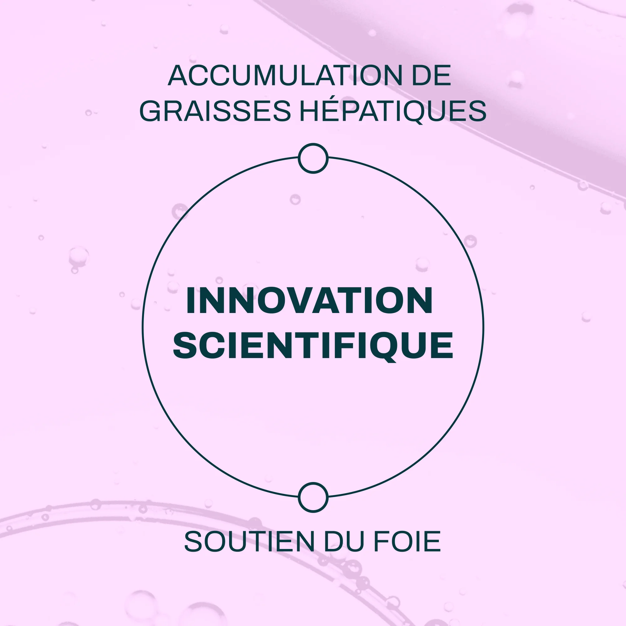 Foie - Accumulation importante de graisses hépatiques