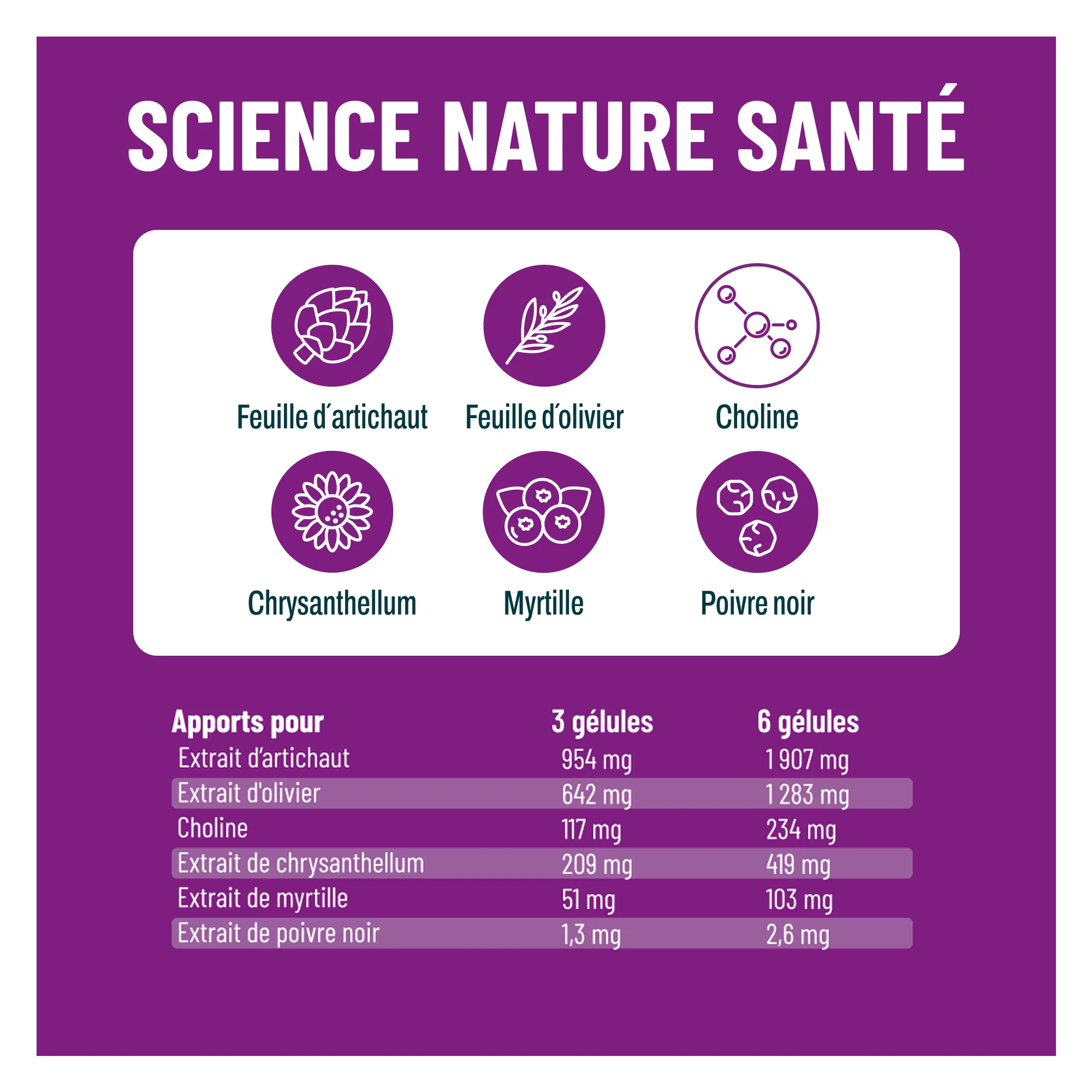 Foie - Accumulation importante de graisses hépatiques