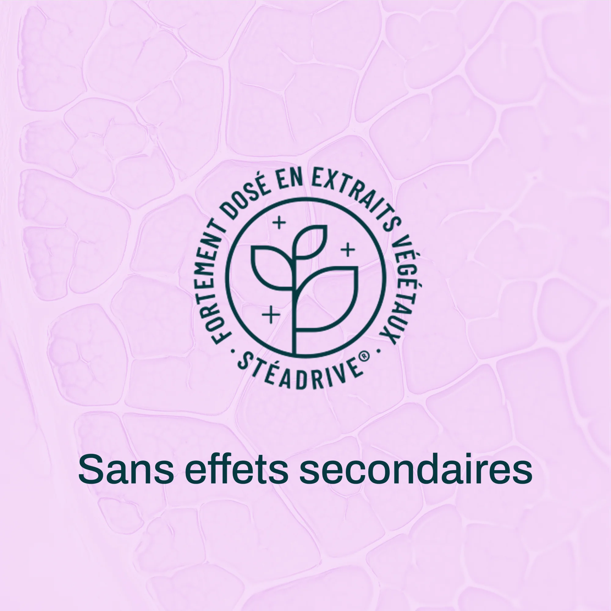Foie - Déséquilibres alimentaires installés