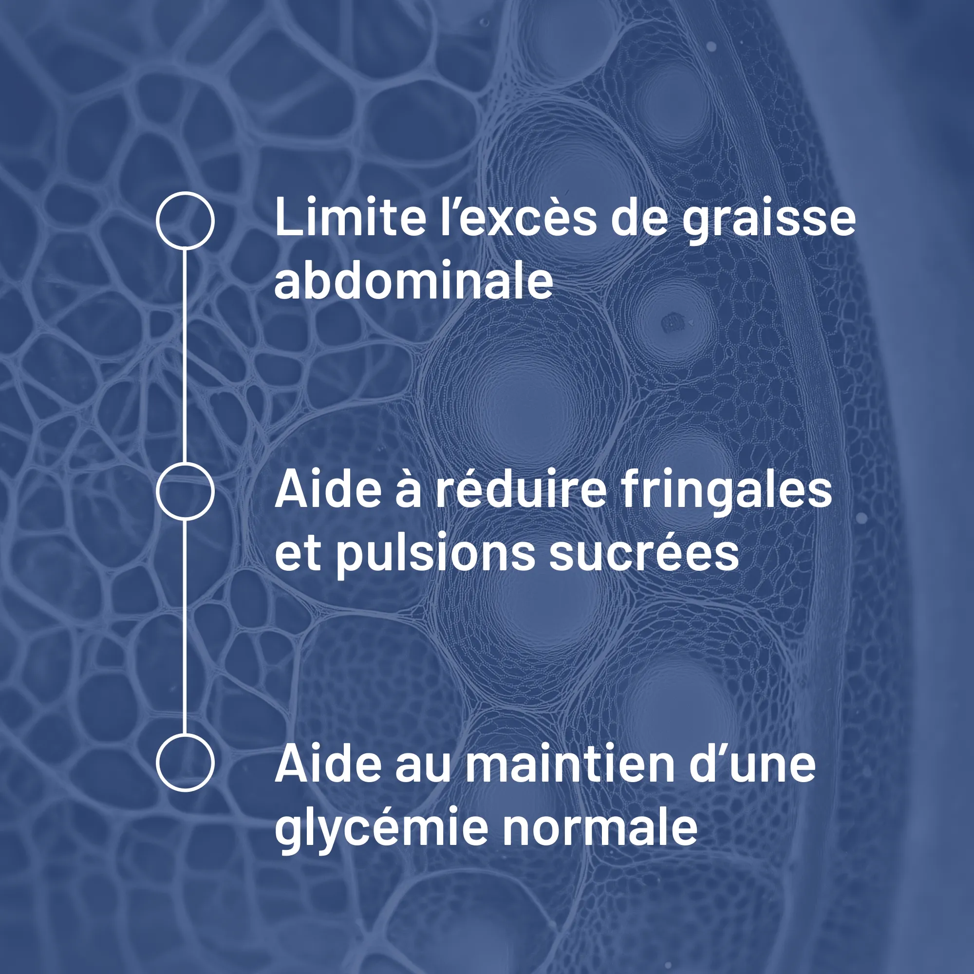 Santé Métabolique
