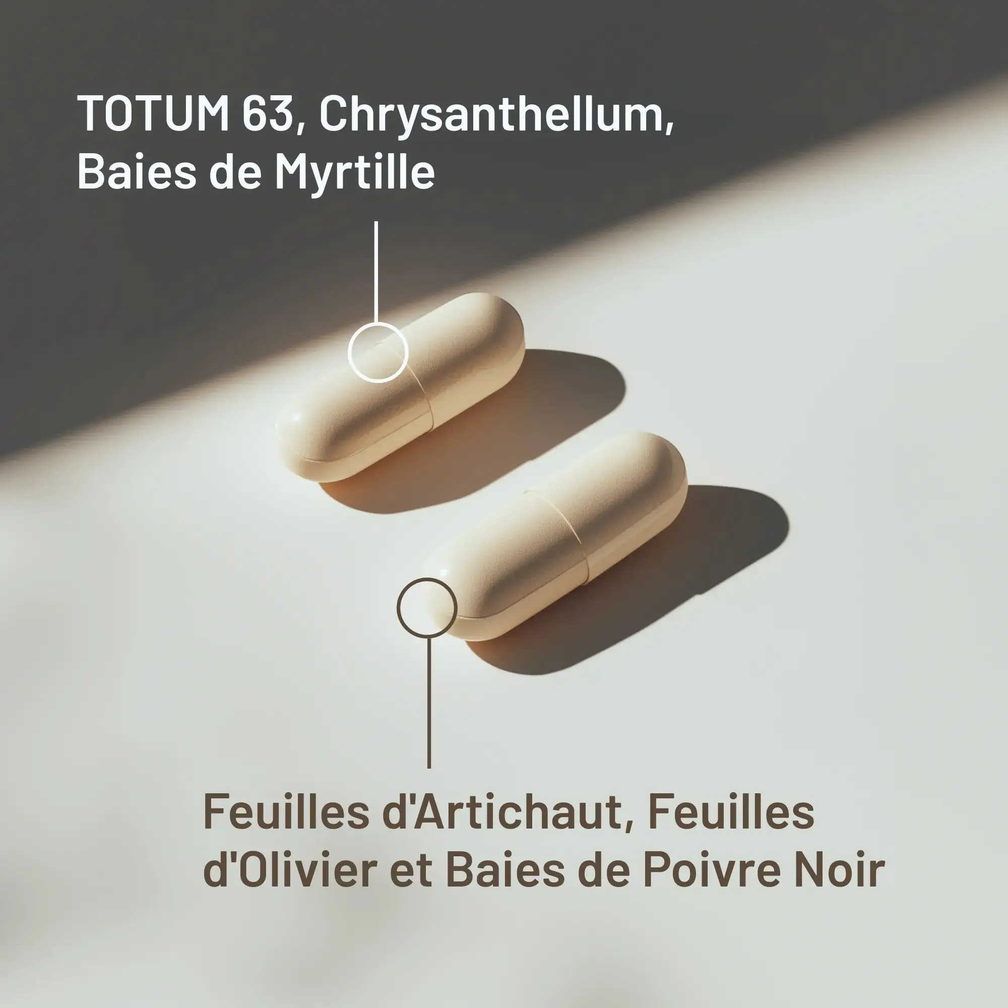 Santé Métabolique
